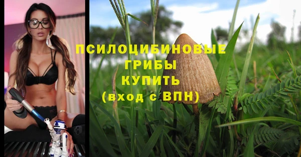 соль ск Балахна