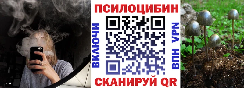 Псилоцибиновые грибы Psilocybine cubensis  сколько стоит  Красково 